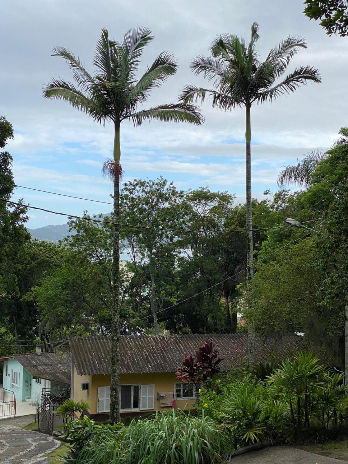 Recanto Floripa Residencial Florianópolis Dış mekan fotoğraf